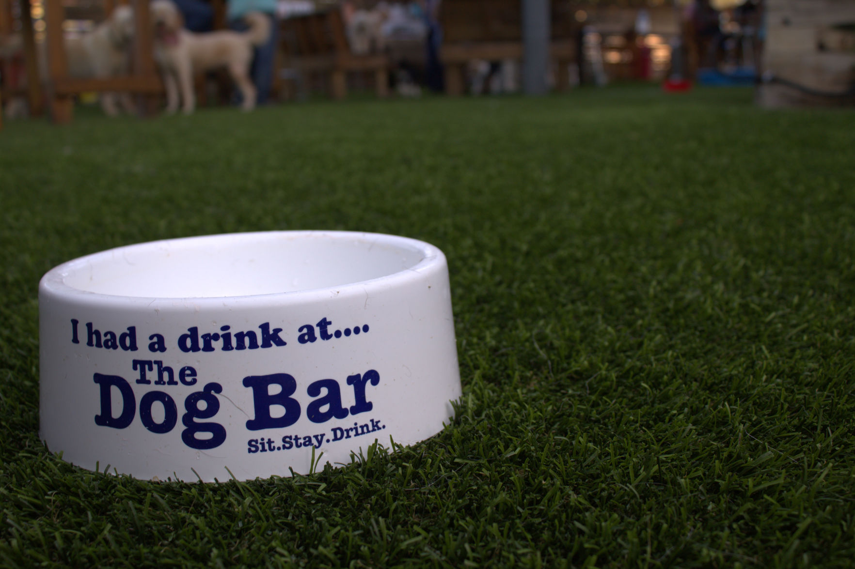 Dog Bar Bowl
